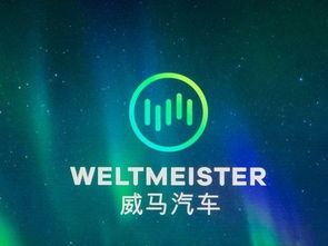 從被冷落到全網刷屏 一則廣告如何讓國產新能源車引爆美國市場