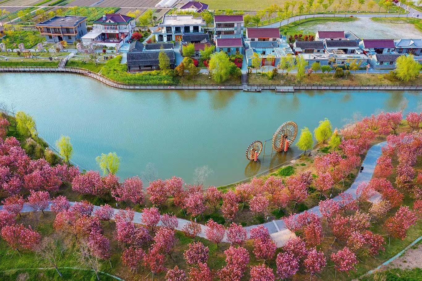 姜堰小楊村:家庭農(nóng)場成就致富夢
